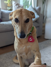 Load image into Gallery viewer, Ty Beanie Baby Dog Collar Tag