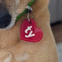 Load image into Gallery viewer, Ty Beanie Baby Dog Collar Tag